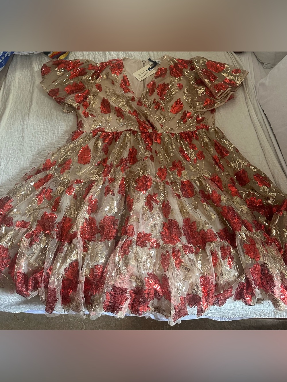 JessaKae Plus Size 4X sequin dress